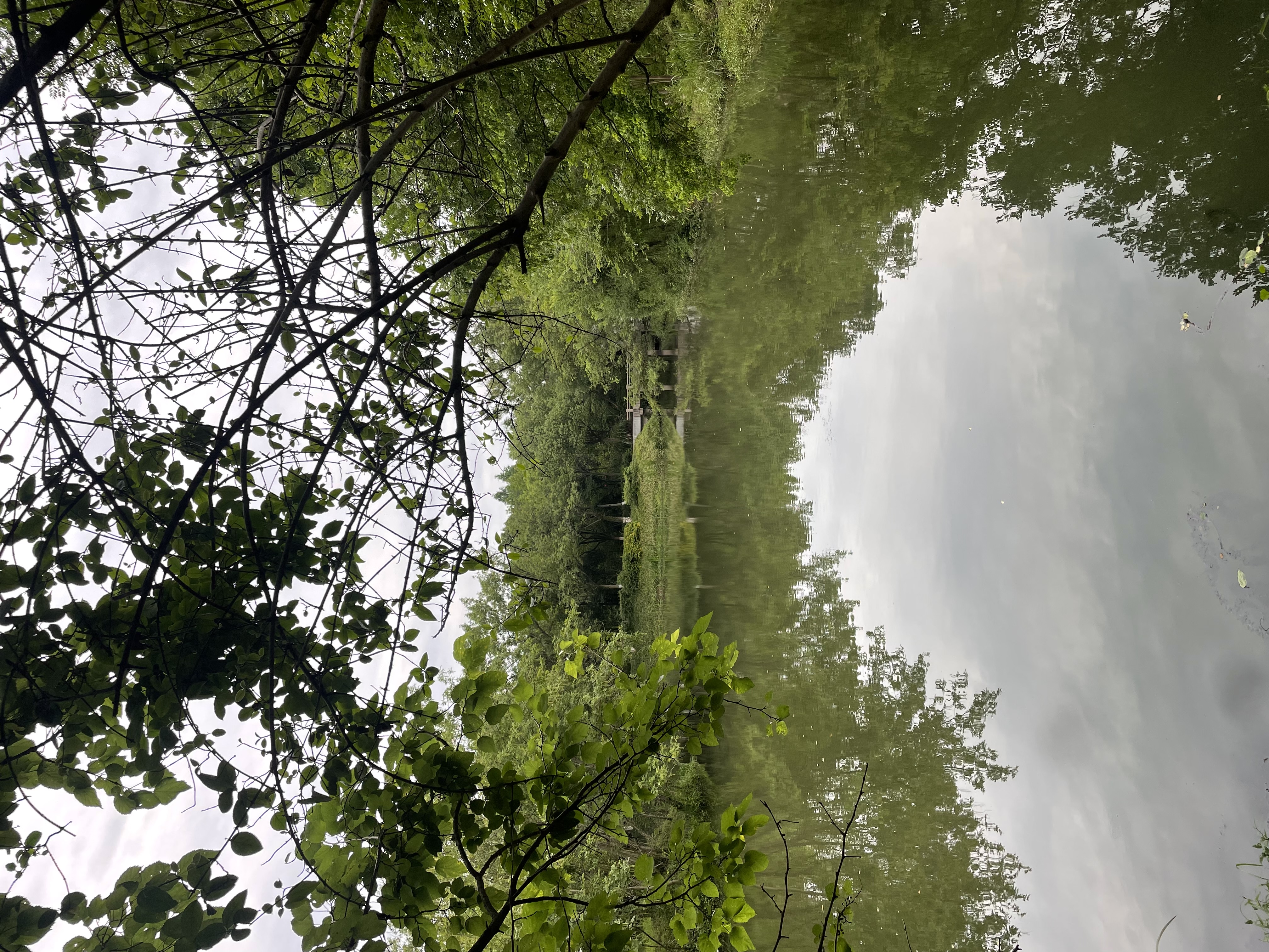 西溪湿地福堤一景